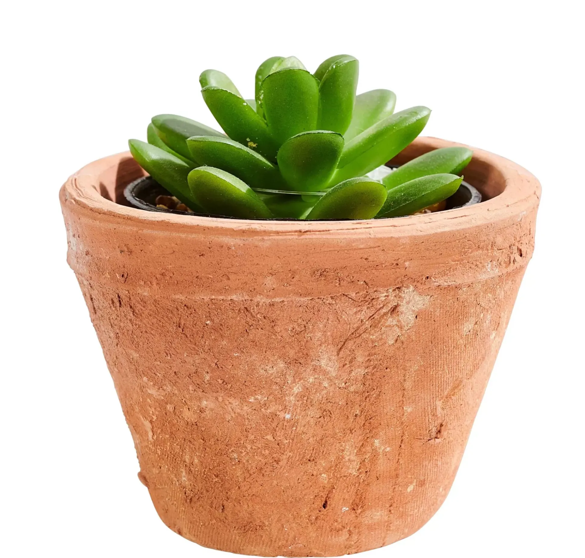 Tierra Macetero Terracota