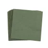 Uni Paquete De 20 Servilletas Verde