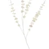 White Rama De Eucalipto Blanco