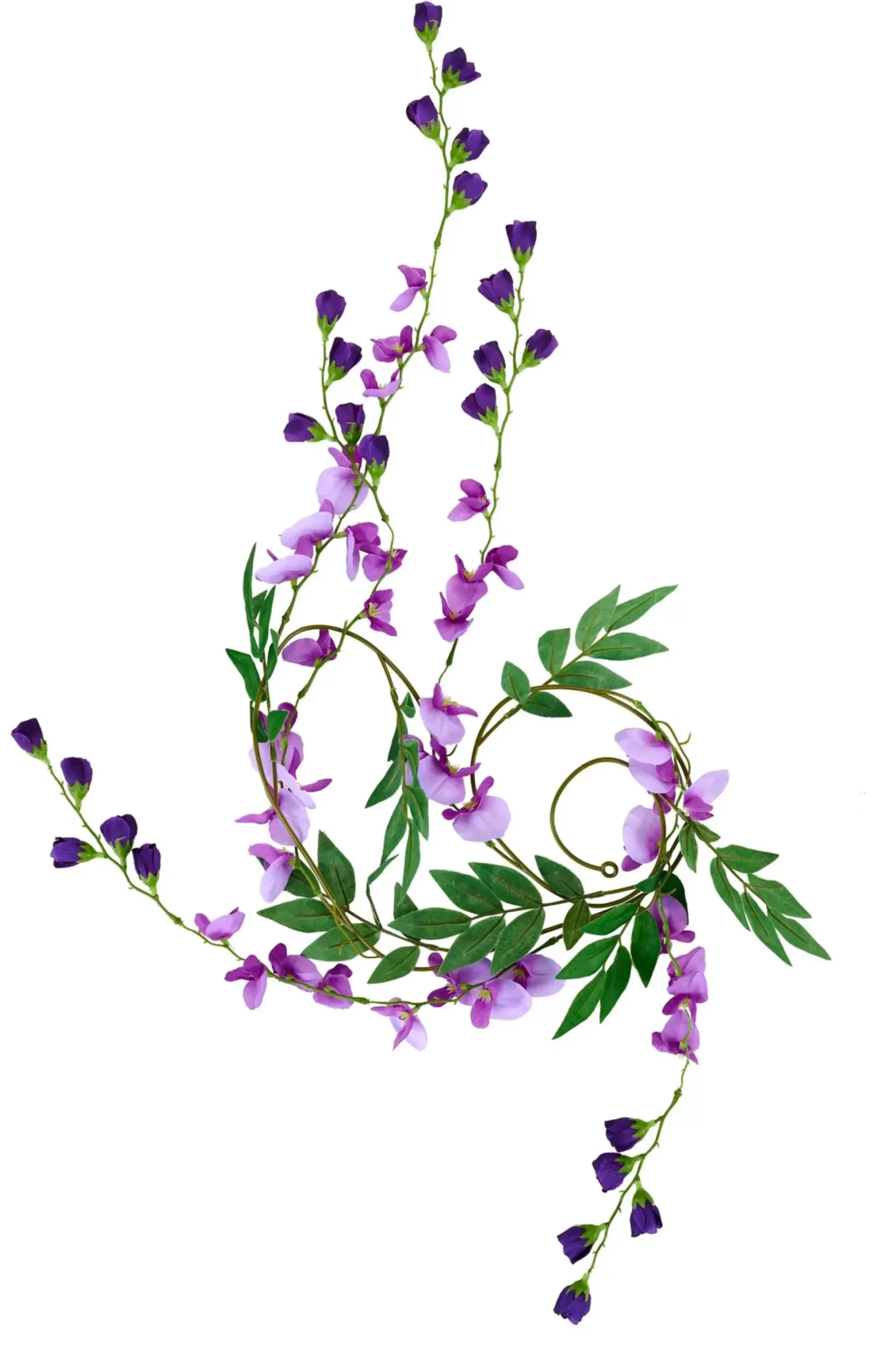 Wisteria Guirnalda Verde, Morado, Morado Claro