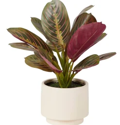 Zebrina Planta Artificial