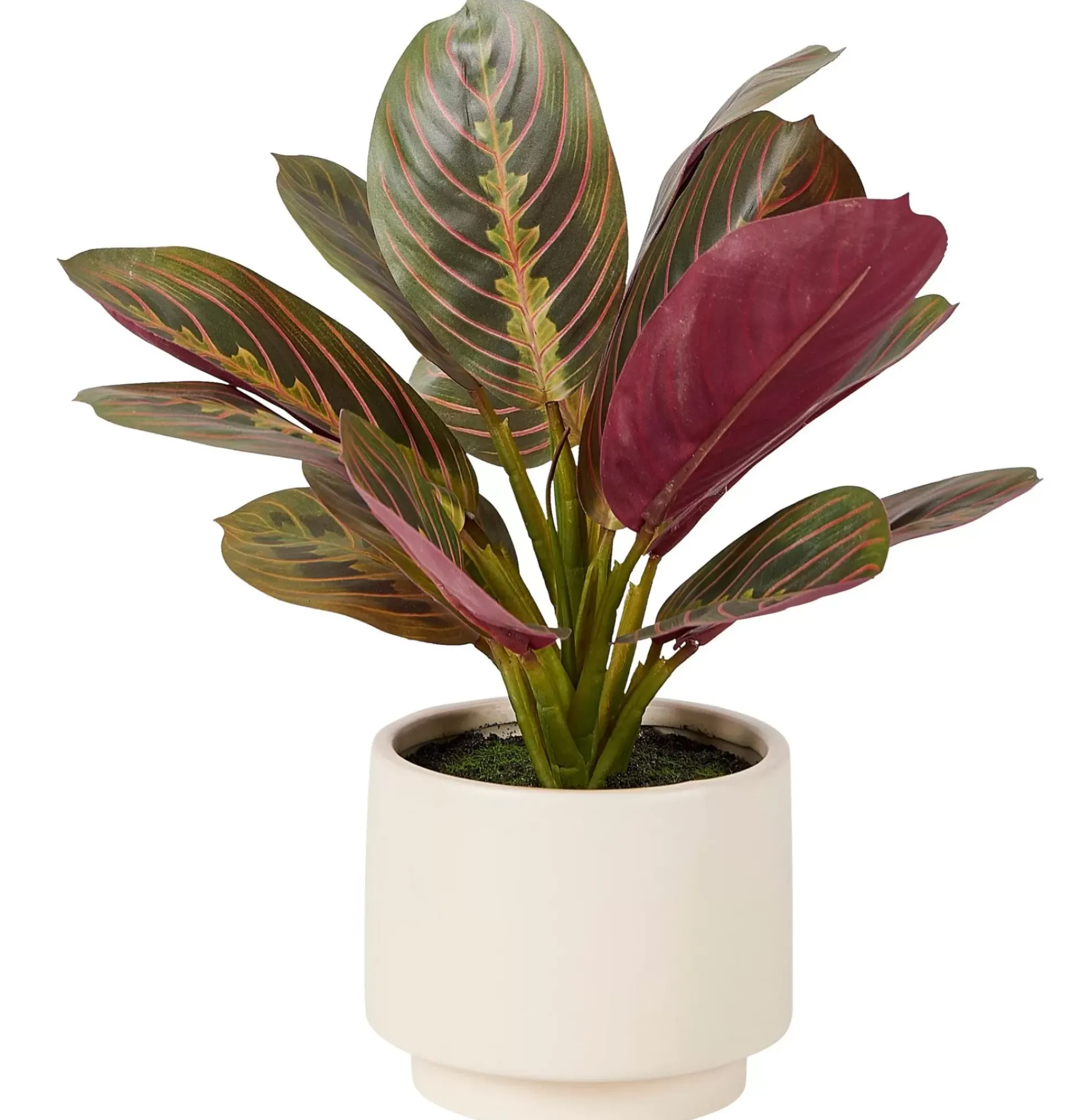 Zebrina Planta Artificial